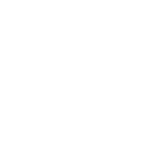 White city of Sesser logo with white text next to it that say Sesser Illinois on a transparent background.